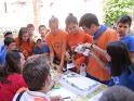 Grest-2011 050